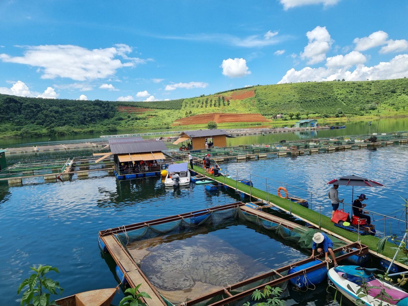Vẻ đẹp của khu Đập Đăklong Thượng - Bảo Lâm 8 Vẻ đẹp của khu Đập Đăklong Thượng - Bảo Lâm 20220901 105816 Vẻ đẹp của khu Đập Đăklong Thượng - Bảo Lâm