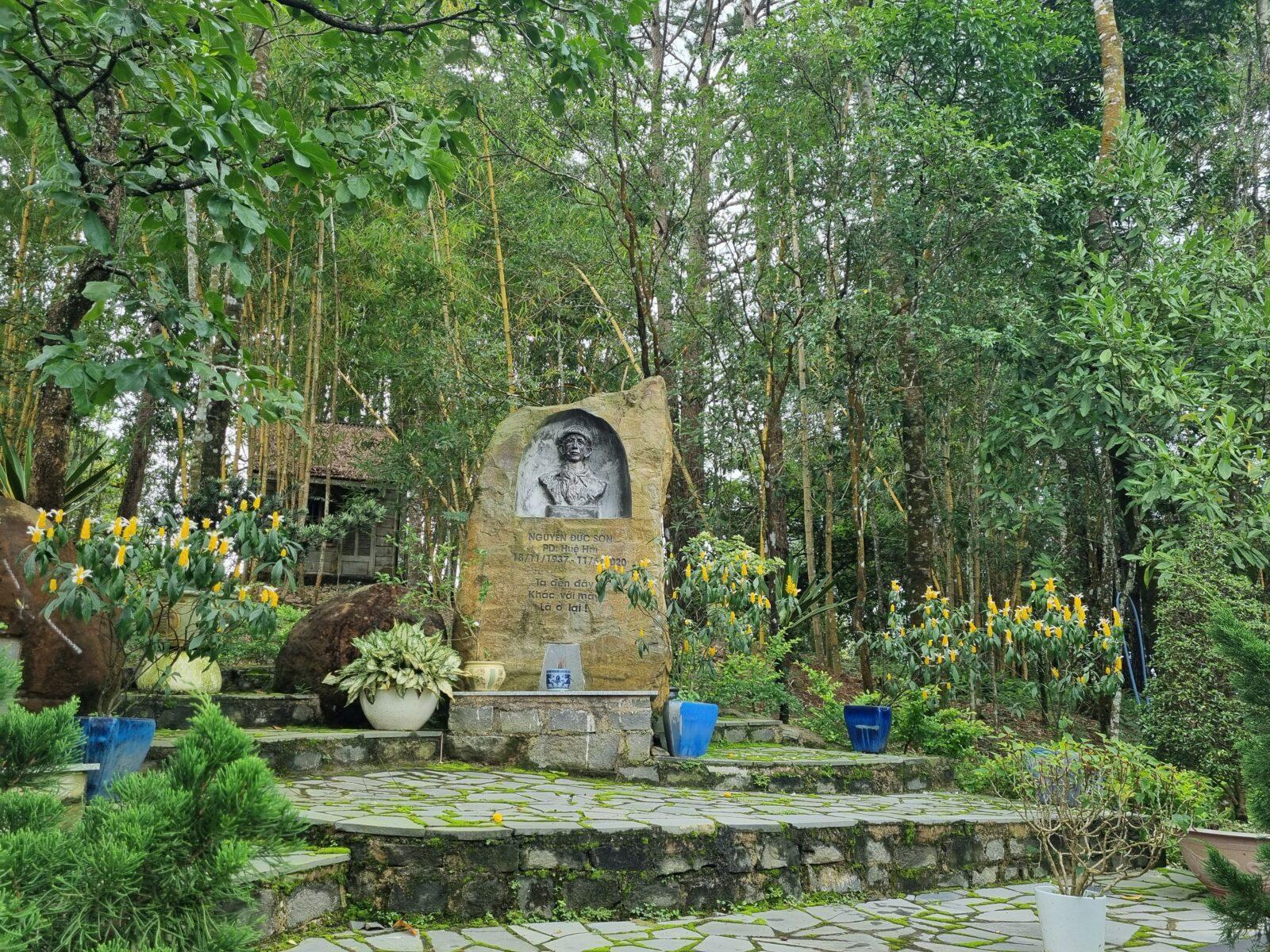 Đồi Thông Phương Bối - khu rừng thông có lịch sử đặc biệt ở Bảo Lộc 7 Đồi Thông Phương Bối - khu rừng thông có lịch sử đặc biệt ở Bảo Lộc 20230715 091610 Đồi Thông Phương Bối - khu rừng thông có lịch sử đặc biệt ở Bảo Lộc